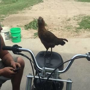 Meet your Posher, Isaac